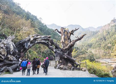   Longwan National Forest Park - En oas av grönska med en fascinerande historia! 