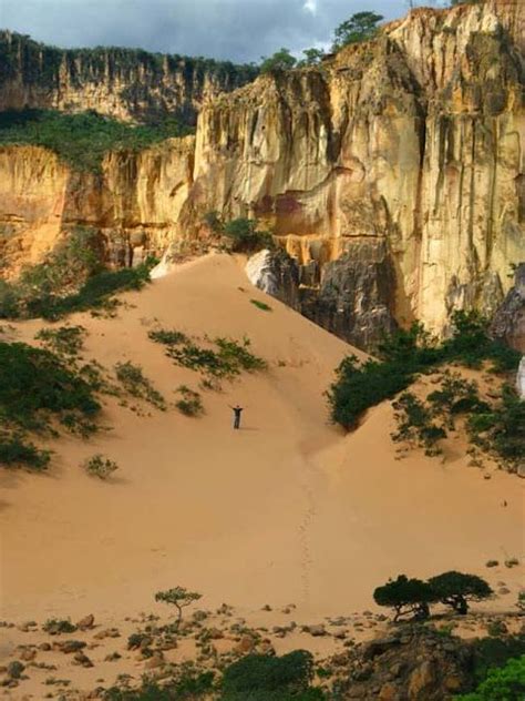 Parque Nacional do Araguaia: En oas av biologisk mångfald och äventyrlig upptäckt!